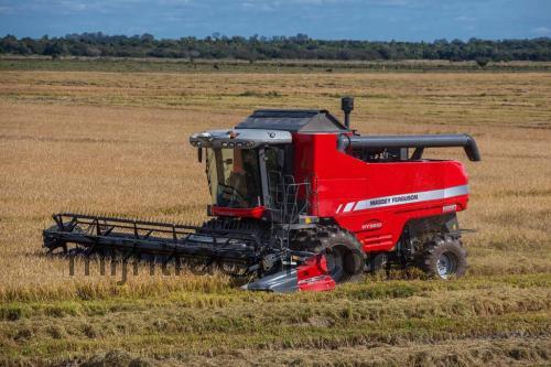 Massey Ferguson 6690 specificaties